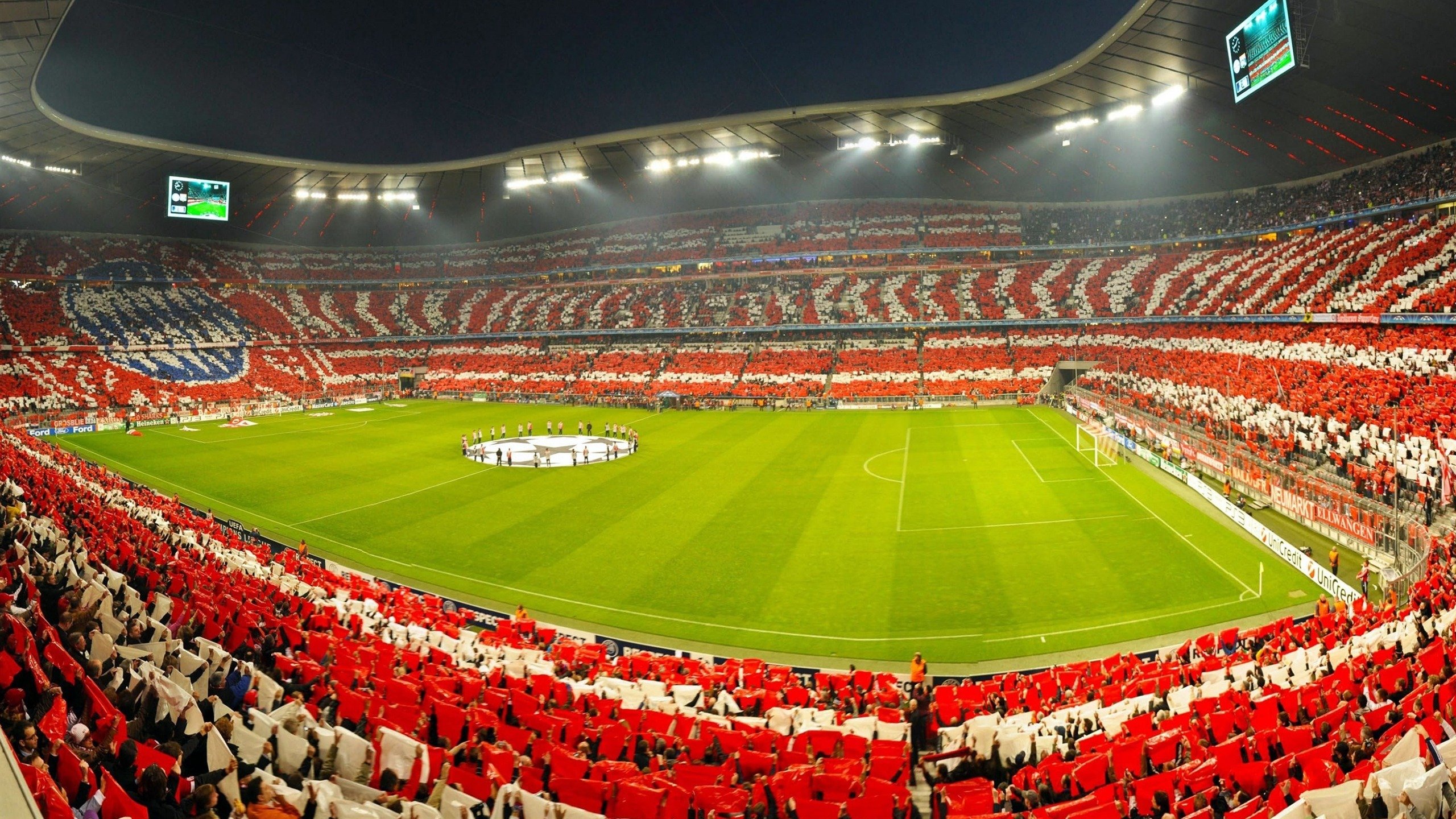 从城市到乡村的全景自行车骑行，绿色出行新趋势，骑行美丽乡村