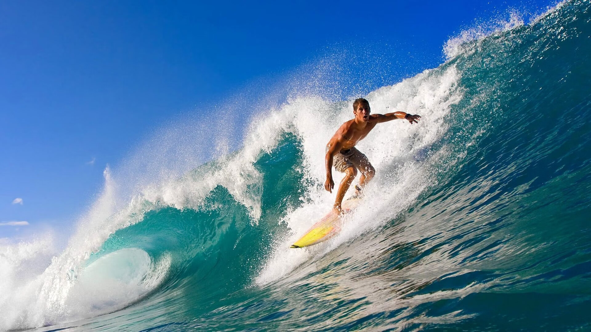 乐鱼（LEYU）体育-全国少年棒球赛，小将们的竞技舞台，少年棒球联赛