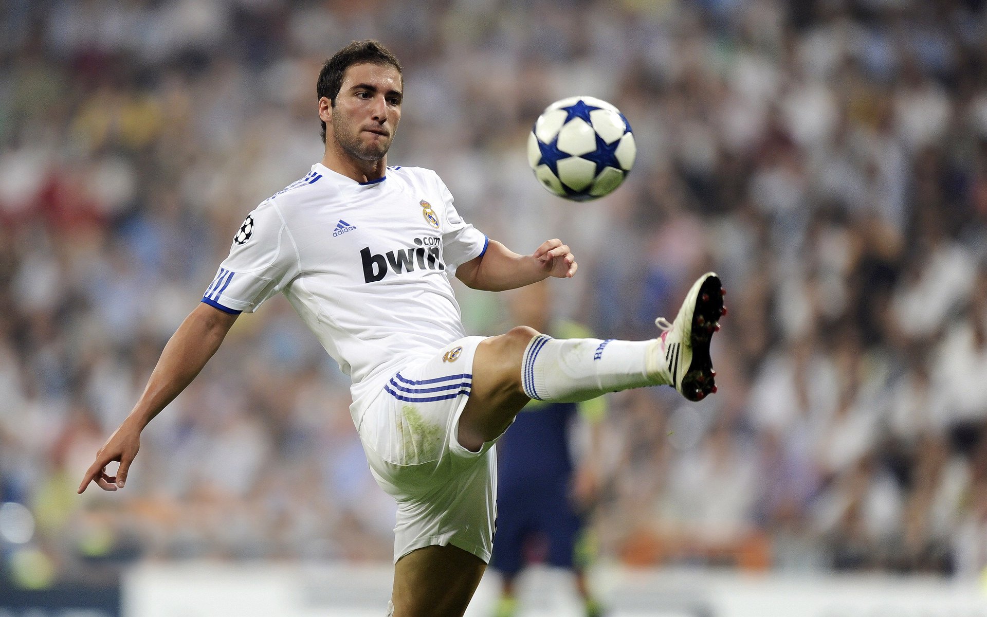 德国队小组出局，主帅弗里克引咎辞职，德国国家队弗里克